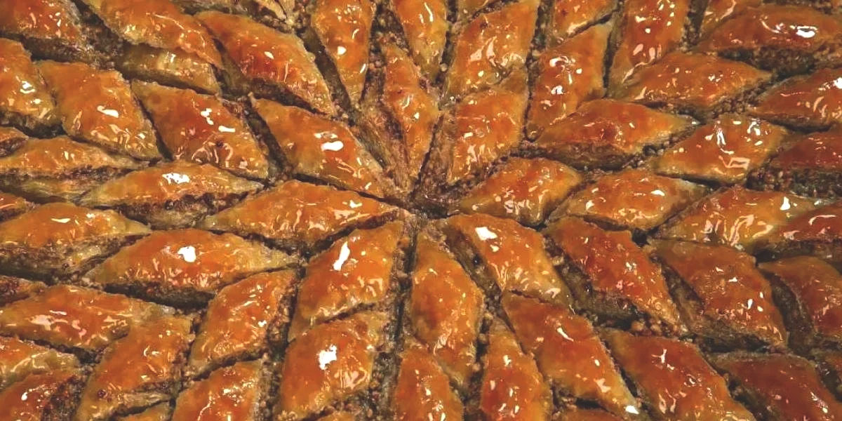 yeni-proje.jpg