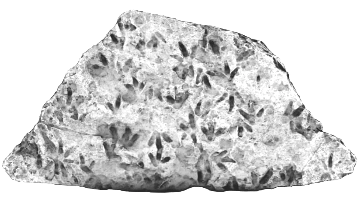 a-001.jpg